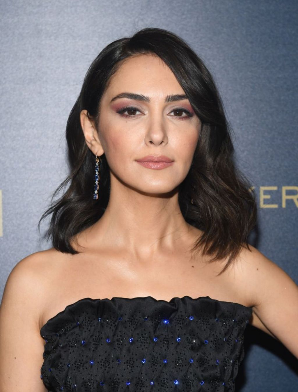 Nazanin Boniadi – El Anillo Único